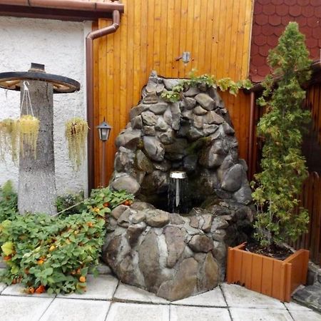 Tulipan Panzio Bed & Breakfast Sfantu Gheorghe  Luaran gambar