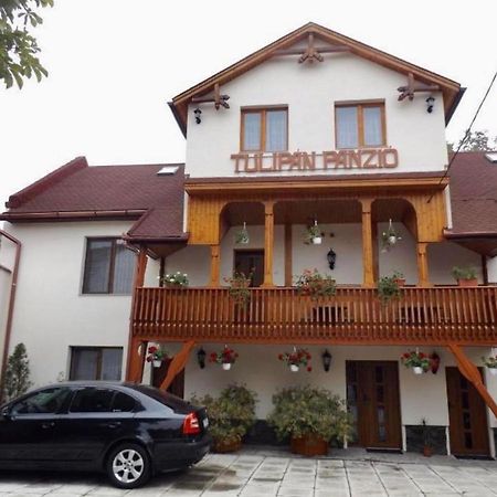 Tulipan Panzio Bed & Breakfast Sfantu Gheorghe  Luaran gambar