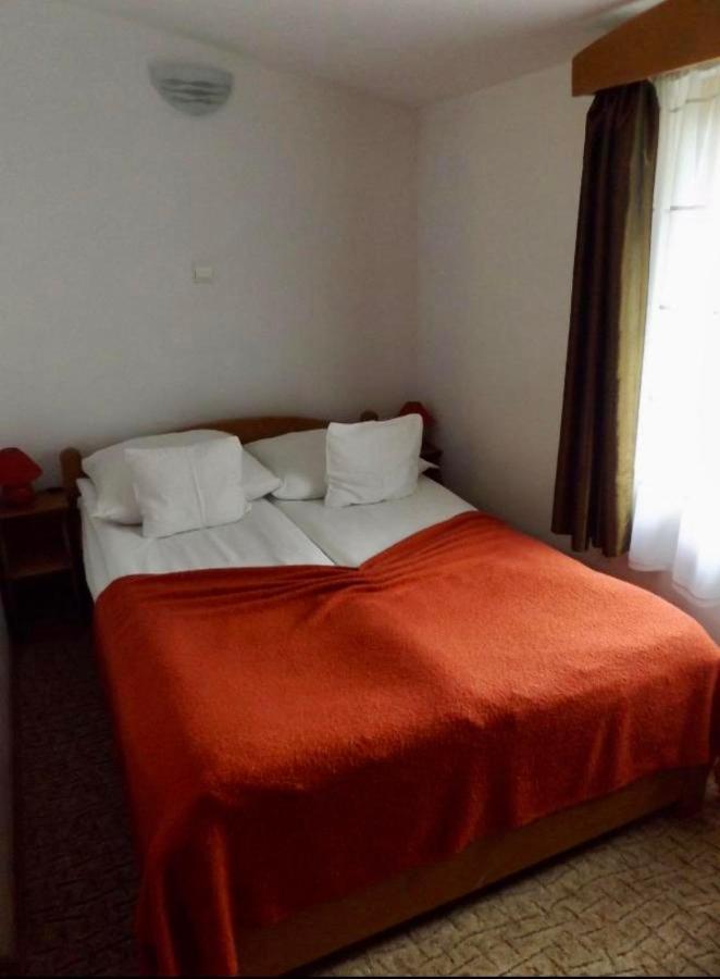 Tulipan Panzio Bed & Breakfast Sfantu Gheorghe  Luaran gambar