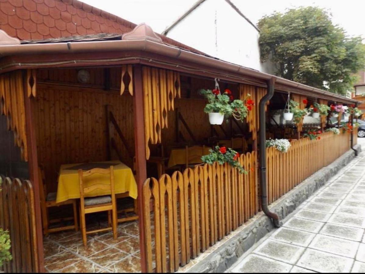 Tulipan Panzio Bed & Breakfast Sfantu Gheorghe  Luaran gambar