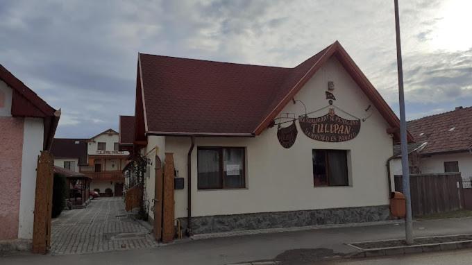Tulipan Panzio Bed & Breakfast Sfantu Gheorghe  Luaran gambar