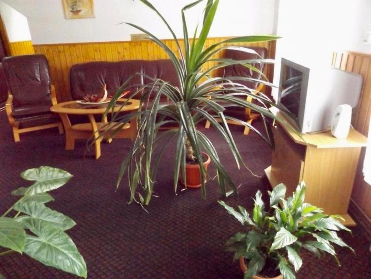 Tulipan Panzio Bed & Breakfast Sfantu Gheorghe  Luaran gambar